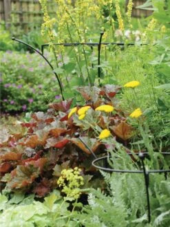 Essex Plant Supports -Garden Outfitters Store 37423 280 tif