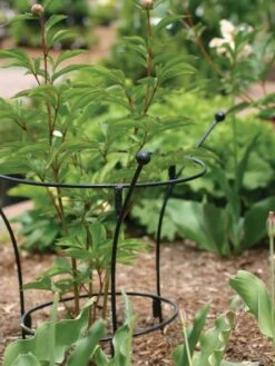 Garden Outfitters Store -Garden Outfitters Store 37450 7614 tif