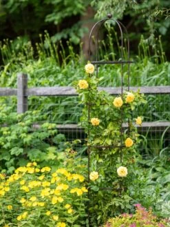 Jardin Round Obelisk, 7' 7 Jardin Round Obelisk, 7' -Garden Outfitters Store 39 530 1668 tif