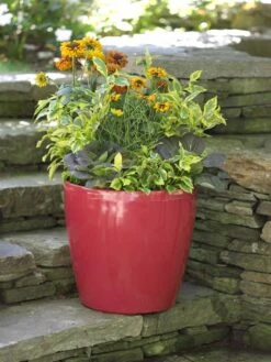 Viva Round Self-Watering Rolling Planter, 17.25” Diameter 9 Viva Round Self-Watering Rolling Planter, 17.25” Diameter -Garden Outfitters Store 39326 046 tif