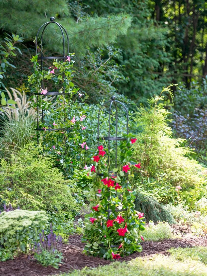 Essex Round Trellises 4 Essex Round Trellises - Image 4