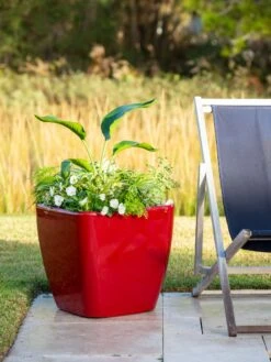 Viva Square Self-Watering Rolling Planter, 20" Diameter, Set Of 2 15 Viva Square Self-Watering Rolling Planter, 20" Diameter, Set Of 2 -Garden Outfitters Store 3 4 crop 8612930 0035 tif