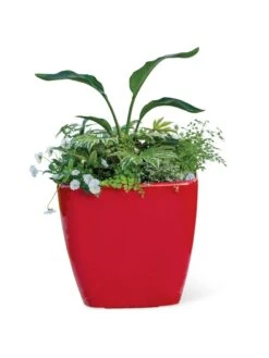 Viva Square Self-Watering Rolling Planter, 20" Diameter, Set Of 2 18 Viva Square Self-Watering Rolling Planter, 20" Diameter, Set Of 2 -Garden Outfitters Store 3 4 crop 8612930 0037 tif