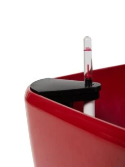 Viva Square Self-Watering Rolling Planter, 20" Diameter, Set Of 2 19 Viva Square Self-Watering Rolling Planter, 20" Diameter, Set Of 2 -Garden Outfitters Store 3 4 crop 8612930 0107