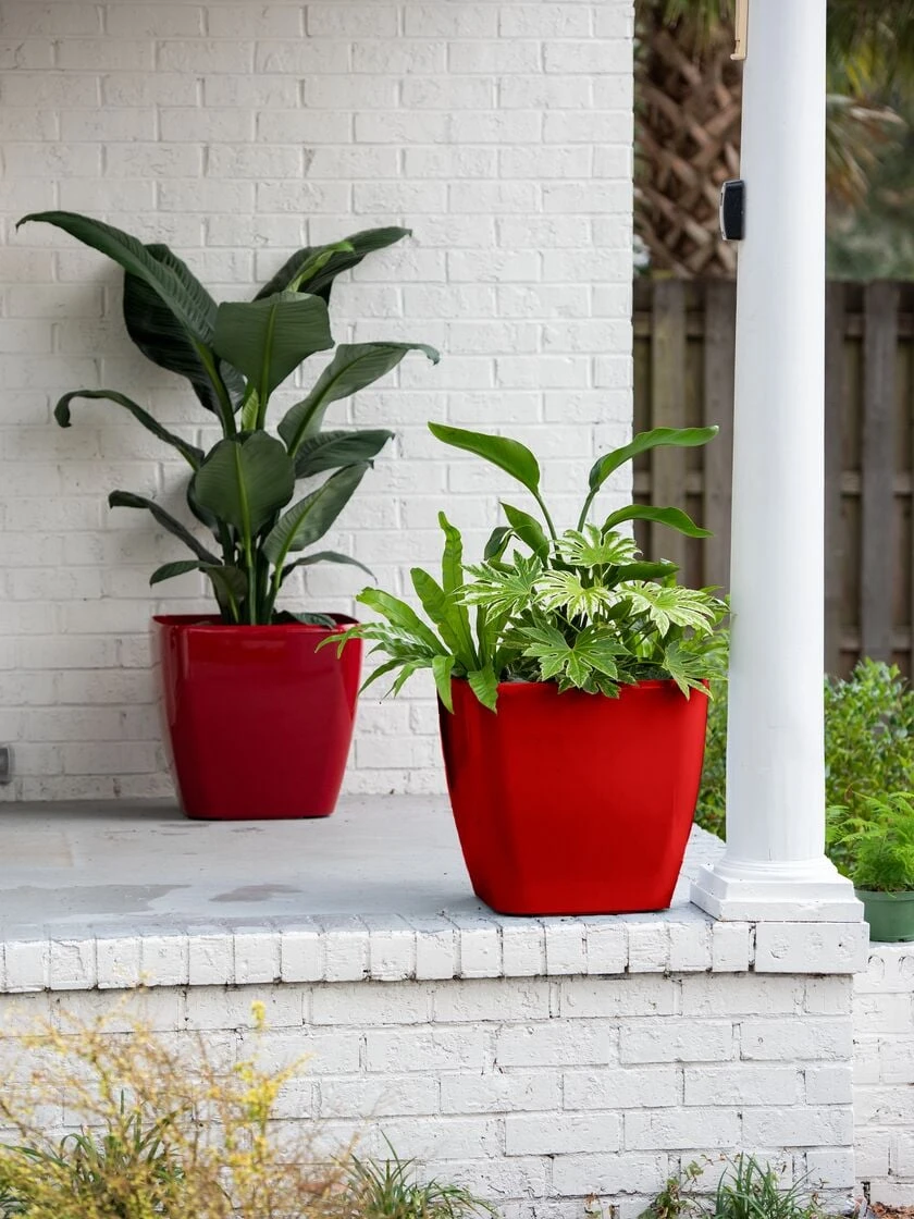 Viva Square Self-Watering Rolling Planter, 20" Diameter, Set Of 2 1 Viva Square Self-Watering Rolling Planter, 20" Diameter, Set Of 2