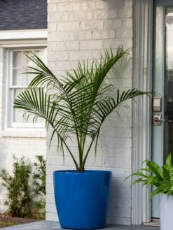 Viva Round Self-Watering Rolling Planter, 20" Diameter, Set Of 2 -Garden Outfitters Store 3 4 crop 8612933 0024 tif