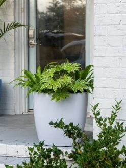 Viva Round Self-Watering Rolling Planter, 20" Diameter, Set Of 2 -Garden Outfitters Store 3 4 crop 8612933 0025 tif