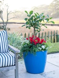 Viva Round Self-Watering Rolling Planter, 20" Diameter, Set Of 2 -Garden Outfitters Store 3 4 crop 8612933 5312 tif