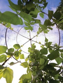 Jardin Tower -Garden Outfitters Store 3 4 crop 8612997 0033