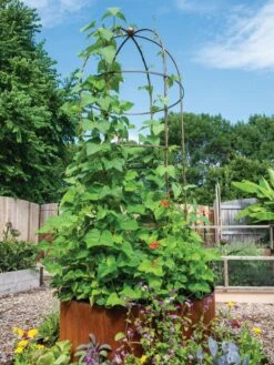 Garden Outfitters Store -Garden Outfitters Store 3 4 crop 8612997 0055