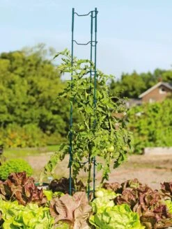 Stacking Tomato Ladders, Set Of 6 7 Stacking Tomato Ladders, Set Of 6 -Garden Outfitters Store 40309 100 tif