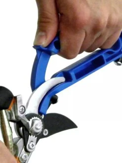 Garden Outfitters Store -Garden Outfitters Store 40507 009V tif