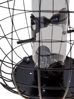 Mixed Seed Globe Cage Feeder -Garden Outfitters Store 8586659 6400