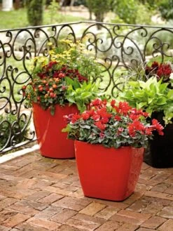 Viva Square Self-Watering Rolling Planter, 14" Diameter 6 Viva Square Self-Watering Rolling Planter, 14" Diameter -Garden Outfitters Store 8586699 982 tif