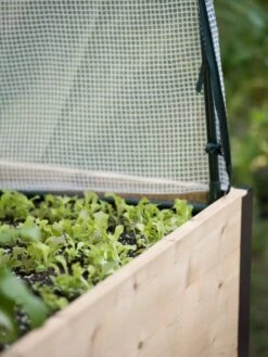 Protection Frame & Covers, 2' X 8' -Garden Outfitters Store 8587631 265 tif