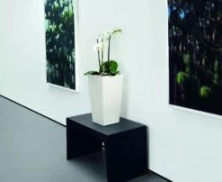 Lechuza® Cubico Color Tall Self-Watering Planters 8 Lechuza® Cubico Color Tall Self-Watering Planters -Garden Outfitters Store 8589485 03V tif