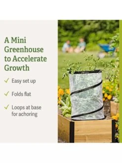 Pop-Up Tomato Accelerator -Garden Outfitters Store 8589749 feature 2