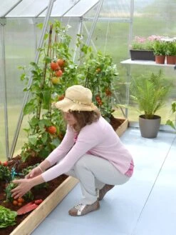 Canopia® By Palram Essence™ Greenhouse, 8' X 12' 16 Canopia® By Palram Essence™ Greenhouse, 8' X 12' -Garden Outfitters Store 8591356 04V tif