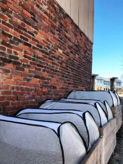 Row Shelter Accelerator 9 Row Shelter Accelerator -Garden Outfitters Store 8591990 01IN tif