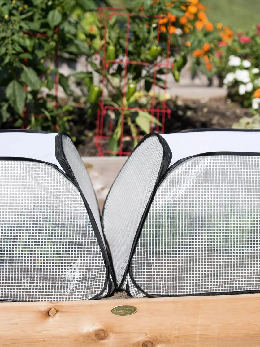 Row Shelter Accelerator 4 Row Shelter Accelerator - Image 4