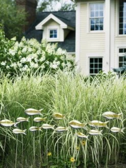 Fish Out Of Water Garden Stakes, Set Of 5 -Garden Outfitters Store 8593672 9124 tif