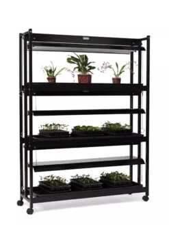 High Intensity 3-Tier SunLite® Garden 11 High Intensity 3-Tier SunLite® Garden -Garden Outfitters Store 8593944 1608 tif