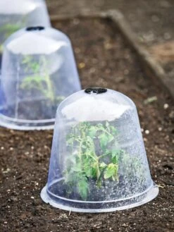 Large Garden Cloches, Set Of 3 -Garden Outfitters Store 8593984 9432 tif