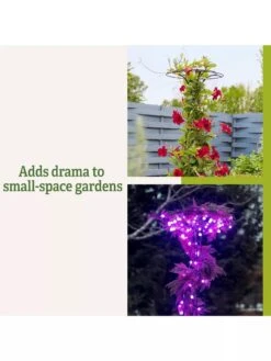 Essex Tuteur, 63" -Garden Outfitters Store 8594162 3