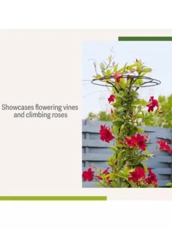 Essex Tuteur, 63" -Garden Outfitters Store 8594162 4