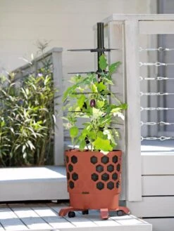 Gardener's Revolution® Tomato Planter 7 Gardener's Revolution® Tomato Planter -Garden Outfitters Store 8594743 2618 tif