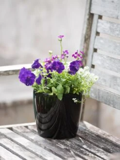 Viva Round Self-Watering Planter, 7" Diameter 9 Viva Round Self-Watering Planter, 7" Diameter -Garden Outfitters Store 8595222 1140 tif