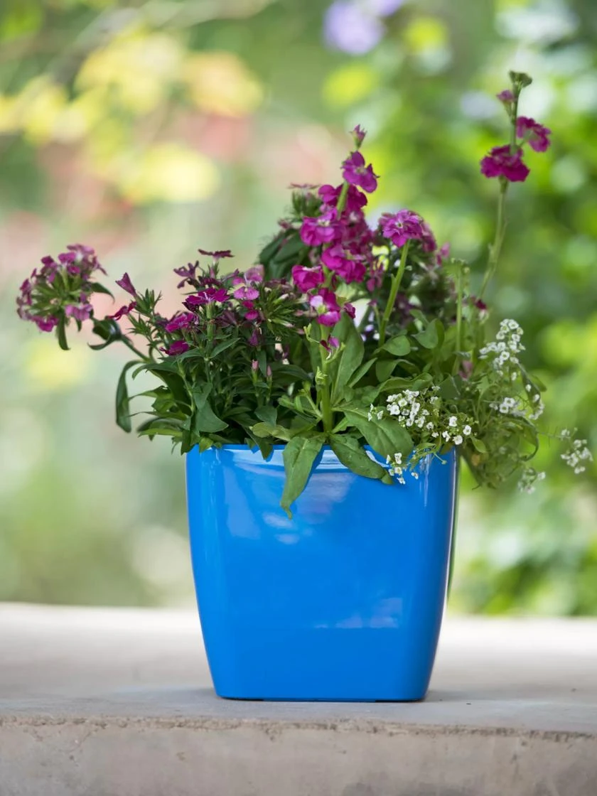 Viva Square Self-Watering Planter, 7" Diameter 3 Viva Square Self-Watering Planter, 7" Diameter - Image 3