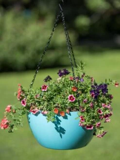 Viva Self-Watering Hanging Basket, 14" Diameter 8 Viva Self-Watering Hanging Basket, 14" Diameter -Garden Outfitters Store 8596442 0859 tif