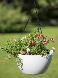 Viva Self-Watering Hanging Basket, 14" Diameter 7 Viva Self-Watering Hanging Basket, 14" Diameter -Garden Outfitters Store 8596442 0864 tif