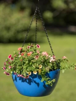Viva Self-Watering Hanging Basket, 14" Diameter 9 Viva Self-Watering Hanging Basket, 14" Diameter -Garden Outfitters Store 8596442 0876 tif