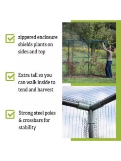 Crop Cage, 4' X 12' -Garden Outfitters Store 8596540 4