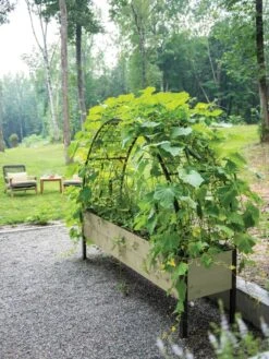 Self-Watering Elevated Planter Box, 2' X 8' -Garden Outfitters Store 8596760 0046 tif