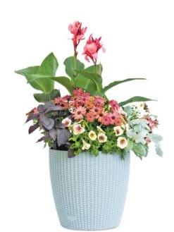 Weave Self-Watering Round Planter, 14" 5 Weave Self-Watering Round Planter, 14" -Garden Outfitters Store 8597388 2175 tif