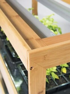 Bamboo LED Grow Light Garden For Succulents And Seeds 15 Bamboo LED Grow Light Garden For Succulents And Seeds -Garden Outfitters Store 8597720 7795 tif 1