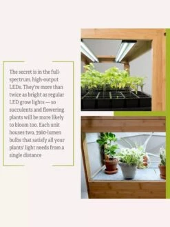 Bamboo LED Grow Light Garden For Succulents And Seeds 20 Bamboo LED Grow Light Garden For Succulents And Seeds -Garden Outfitters Store 8598084 7