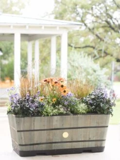 VegTrug™ Trough Planters 14 VegTrug™ Trough Planters -Garden Outfitters Store 8598402 08880 tif