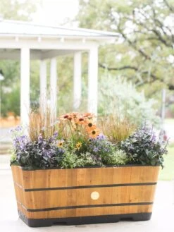 VegTrug™ Trough Planters 12 VegTrug™ Trough Planters -Garden Outfitters Store 8598402 8880 tif