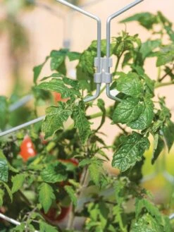 Gardener's Vertex Lifetime Tomato Cage 8 Gardener's Vertex Lifetime Tomato Cage -Garden Outfitters Store 8598426 0011 tif