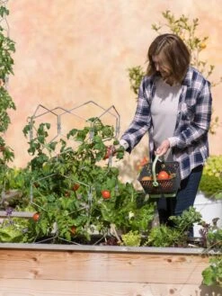 Gardener's Vertex Lifetime Tomato Cage 9 Gardener's Vertex Lifetime Tomato Cage -Garden Outfitters Store 8598426 0026 tif