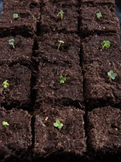 Vermont Compost Company Fort Vee™ Potting Mix, 20 Quarts -Garden Outfitters Store 8599281 5930