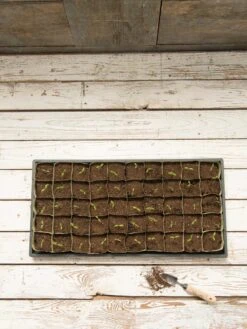 Paper Pots, 50 Cell -Garden Outfitters Store 8599830 18489 tif