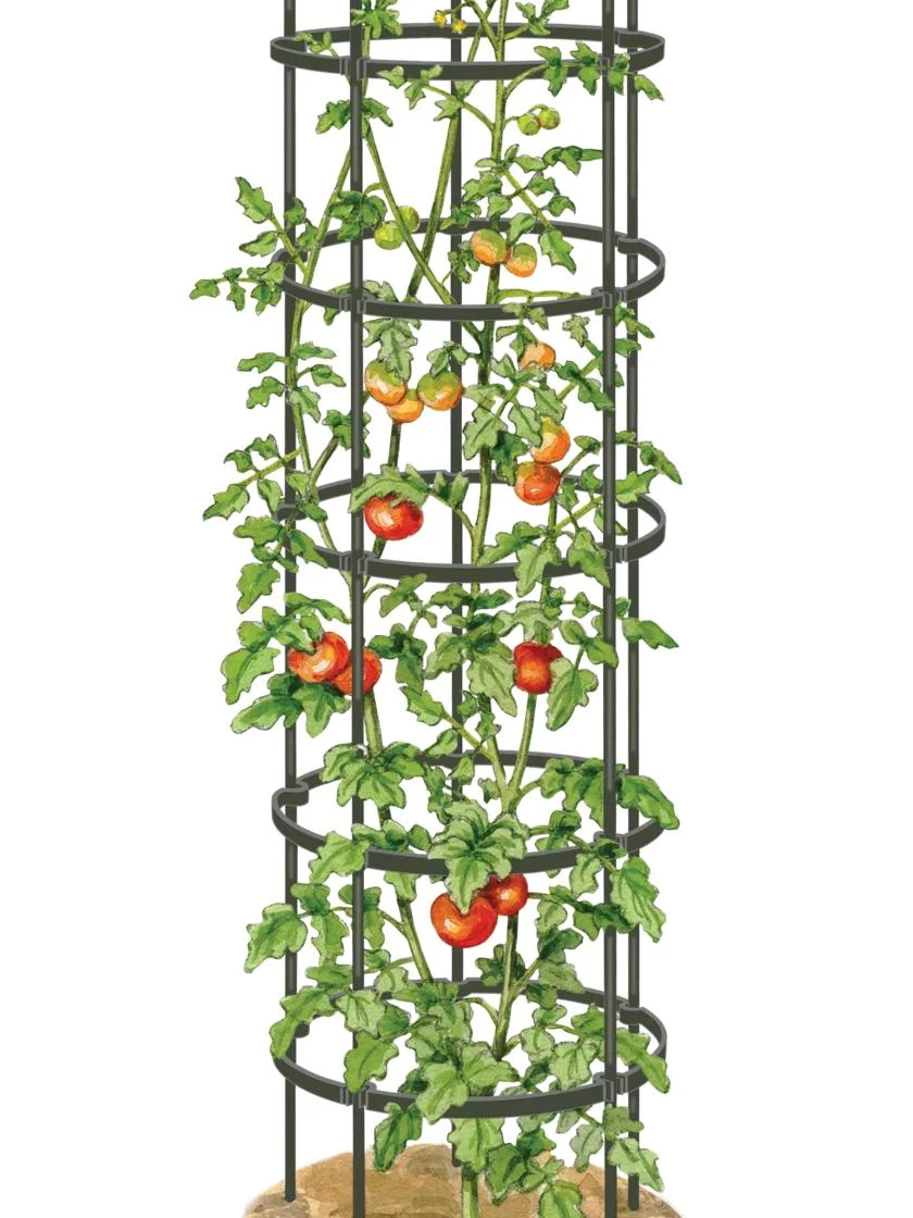Titan Tall Tomato Cages, Set Of 3 5 Titan Tall Tomato Cages, Set Of 3 - Image 5