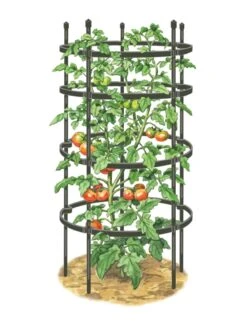 Titan Tomato Cages, Set Of 3 -Garden Outfitters Store 8599861 0001 art tif