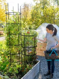 Titan Tomato Cages, Set Of 3 -Garden Outfitters Store 8599861 0114 tif