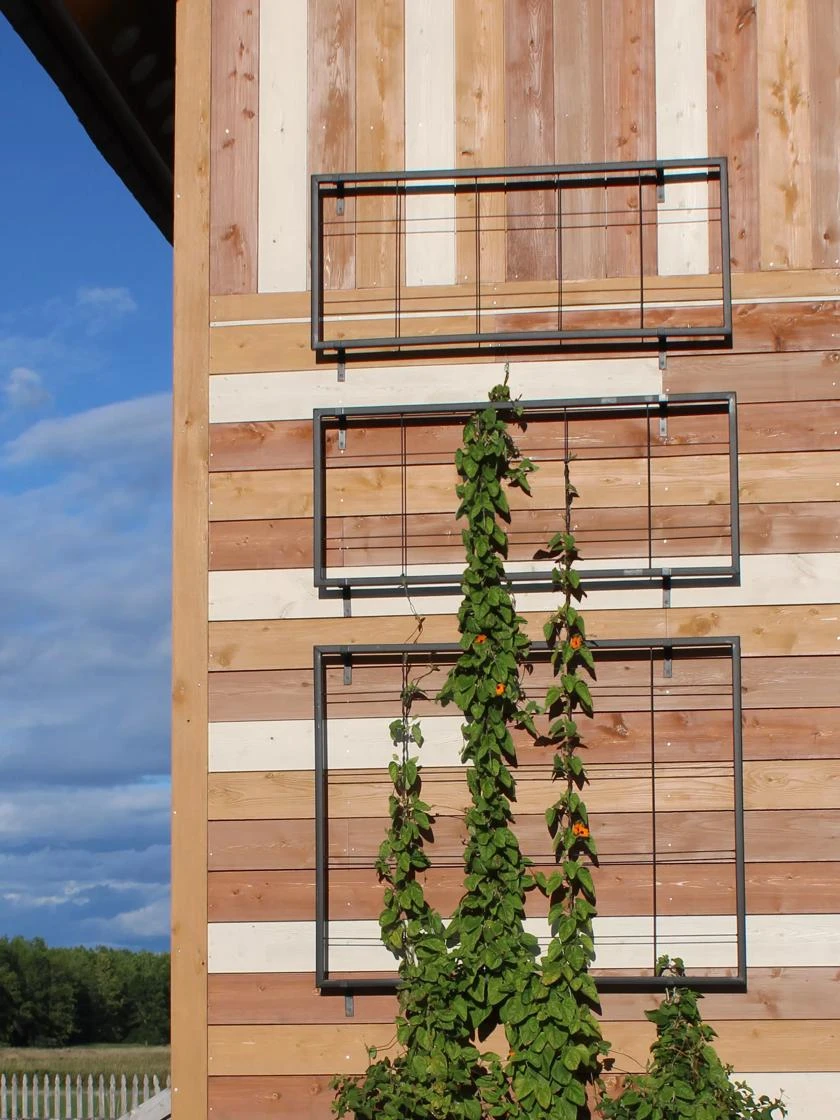 Exeter Wall Trellis 1 Exeter Wall Trellis